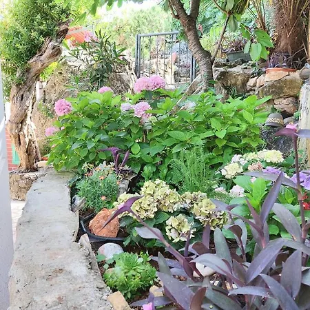 Апартаменты Riva *