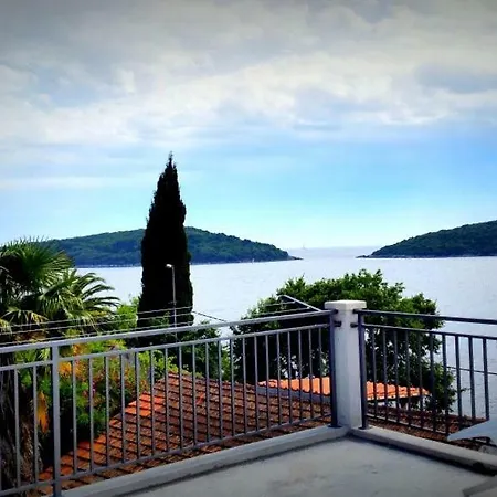Apartment Riva Molunat