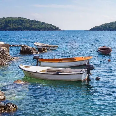 Διαμέρισμα Riva *