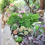Apartman Riva *