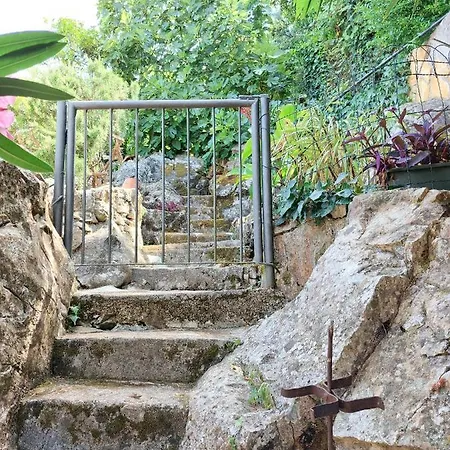 Riva Apartament *